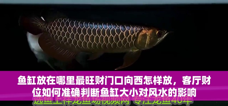 魚缸放在哪里最旺財門口向西怎樣放，客廳財位如何準確判斷魚缸大小對風水的影響