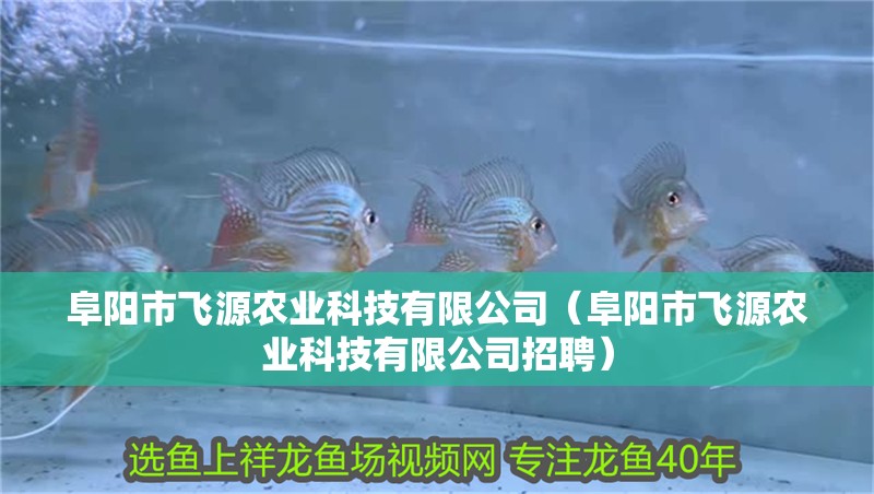 阜陽市飛源農(nóng)業(yè)科技有限公司（阜陽市飛源農(nóng)業(yè)科技有限公司招聘）