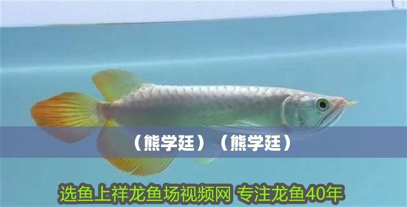 （熊學(xué)廷）（熊學(xué)廷） （熊學(xué)廷）（熊學(xué)廷） 全國水族館企業(yè)名錄