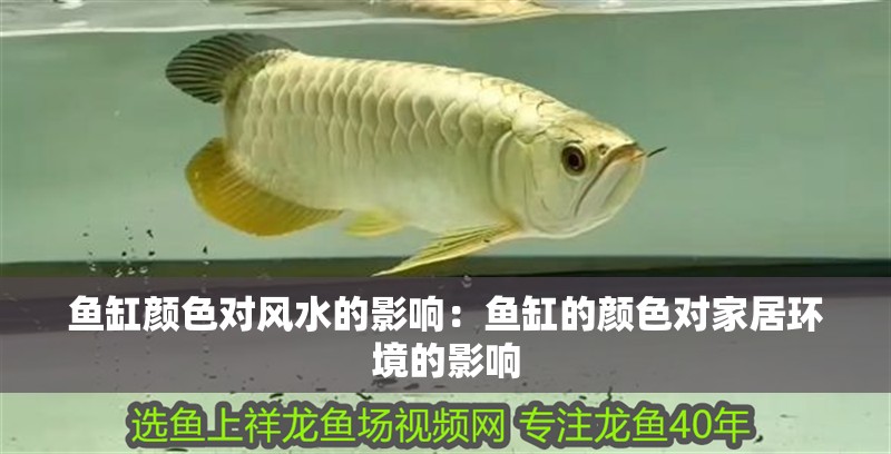 魚缸顏色對風(fēng)水的影響：魚缸的顏色對家居環(huán)境的影響