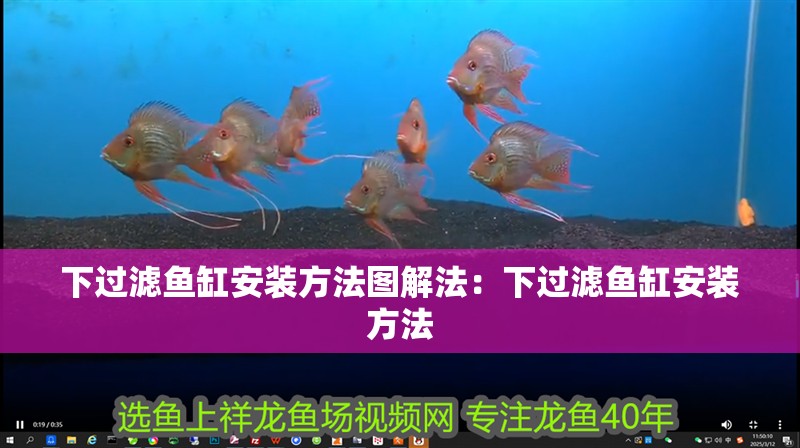 下過濾魚缸安裝方法圖解法：下過濾魚缸安裝方法