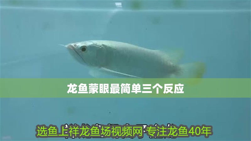 龍魚蒙眼最簡單三個反應