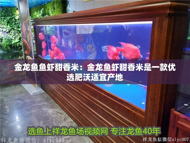金龍魚魚蝦甜香米：金龍魚蝦甜香米是一款優(yōu)選肥沃適宜產(chǎn)地
