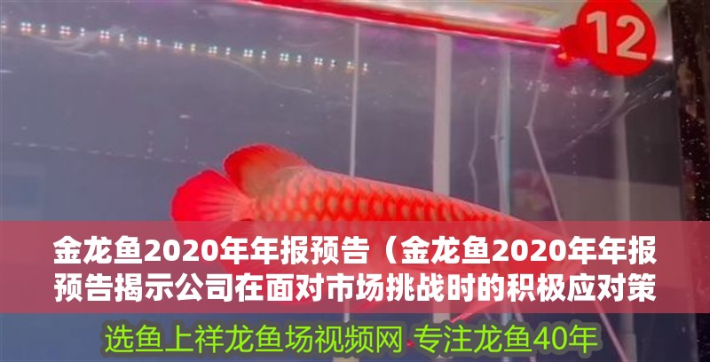 金龍魚2020年年報預告（金龍魚2020年年報預告揭示公司在面對市場挑戰時的積極應對策略）