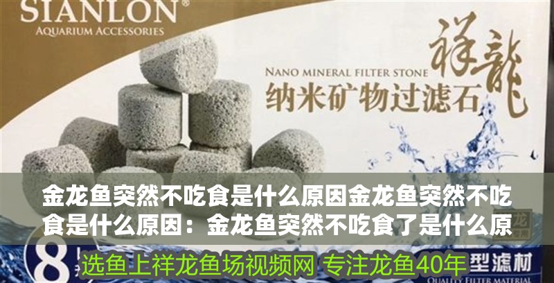 金龍魚突然不吃食是什么原因金龍魚突然不吃食是什么原因：金龍魚突然不吃食了是什么原因呢