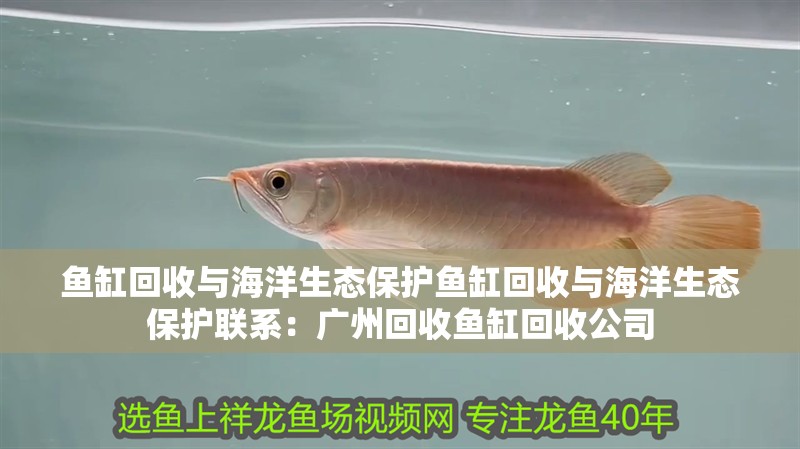 魚缸回收與海洋生態保護魚缸回收與海洋生態保護聯系：廣州回收魚缸回收公司