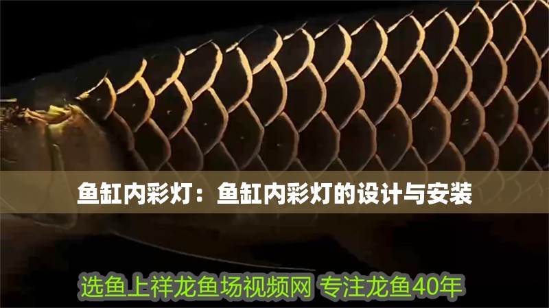 魚缸內彩燈：魚缸內彩燈的設計與安裝
