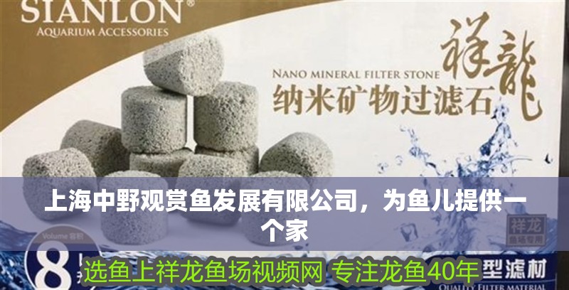 上海中野觀賞魚發展有限公司，為魚兒提供一個家