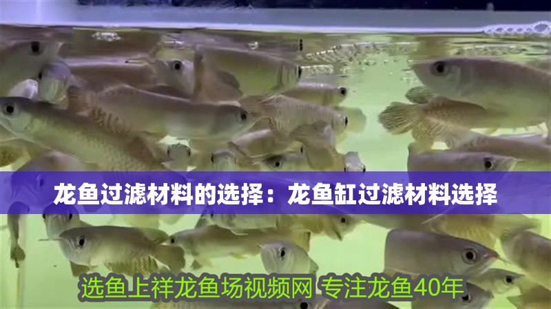 龍魚過(guò)濾材料的選擇：龍魚缸過(guò)濾材料選擇