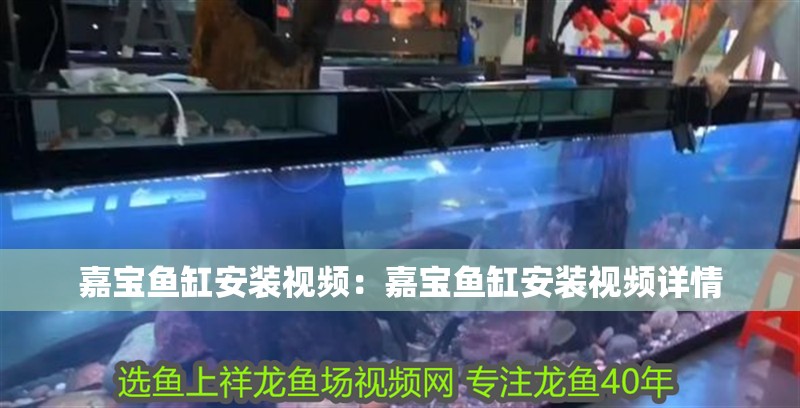 嘉寶魚缸安裝視頻：嘉寶魚缸安裝視頻詳情