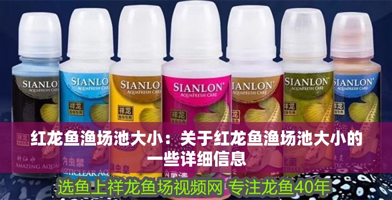 紅龍魚漁場池大小：關于紅龍魚漁場池大小的一些詳細信息