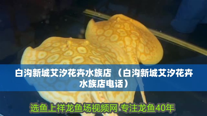 白溝新城艾汐花卉水族店 （白溝新城艾汐花卉水族店電話）