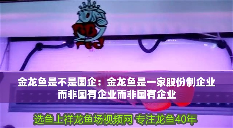 金龍魚是不是國企：金龍魚是一家股份制企業而非國有企業而非國有企業 金龍魚是不是國企：金龍魚是一家股份制企業而非國有企業而非國有企業 龍魚百科