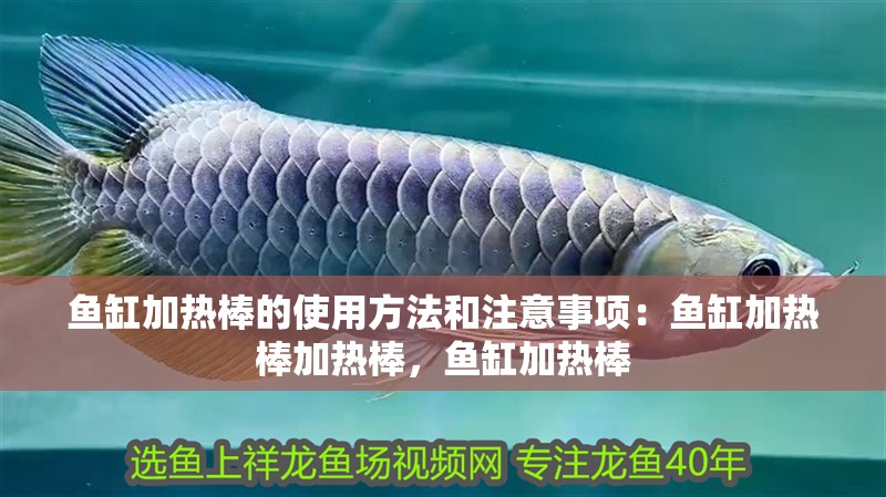 魚缸加熱棒的使用方法和注意事項：魚缸加熱棒加熱棒，魚缸加熱棒