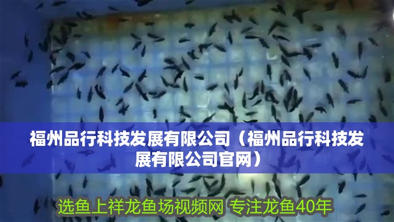 福州品行科技發(fā)展有限公司（福州品行科技發(fā)展有限公司官網(wǎng)）