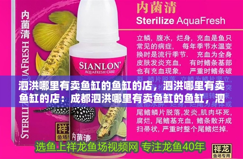 <strong><mark>泗洪</mark></strong>哪里有賣魚缸的魚缸的店，<strong><mark>泗洪</mark></strong>哪里有賣魚缸的店：成都<strong><mark>泗洪</mark></strong>哪里有賣魚缸的魚缸，<strong><mark>泗洪</mark></strong>哪里有賣魚缸的店