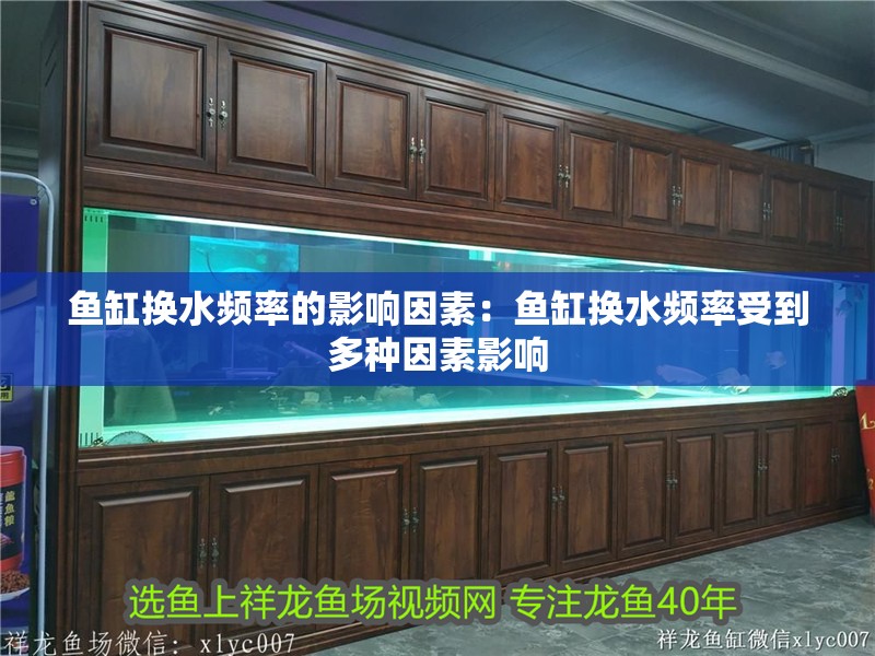 龍魚干蝦有營養嗎 魚缸換水頻率的影響因素:魚缸換水頻率受到多種因素影響 魚缸百科 魚缸換水頻率的影響因素:魚缸換水頻率受到多種因素影響 魚缸換水頻率的影響因素:魚缸換水頻率受到多種因素影響 魚缸百科