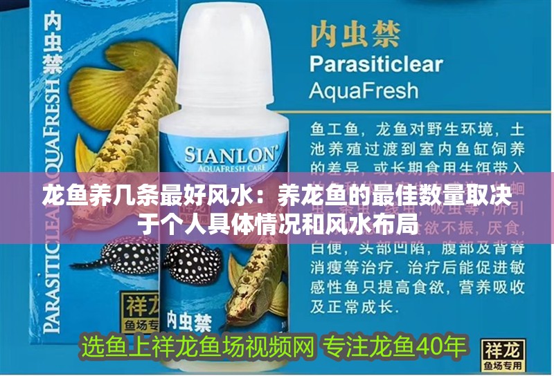 龍魚養(yǎng)幾條最好風(fēng)水：養(yǎng)龍魚的最佳數(shù)量取決于個(gè)人具體情況和風(fēng)水布局