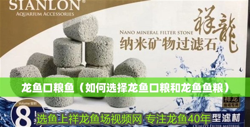 龍魚口糧魚（如何選擇龍魚口糧和龍魚魚糧）
