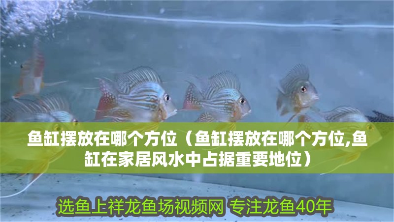 魚缸擺放在哪個方位（魚缸擺放在哪個方位,魚缸在家居風水中占據重要地位）