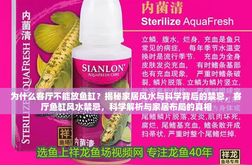 為什么客廳不能放魚缸？揭秘家居風水與科學背后的禁忌，客廳魚缸風水禁忌，科學解析與家居布局的真相