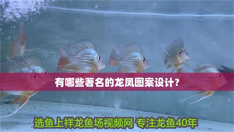 有哪些著名的龍鳳圖案設(shè)計？