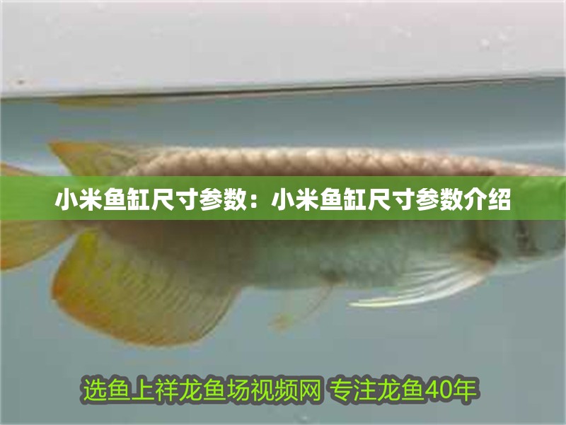 小米魚缸尺寸參數(shù)：小米魚缸尺寸參數(shù)介紹