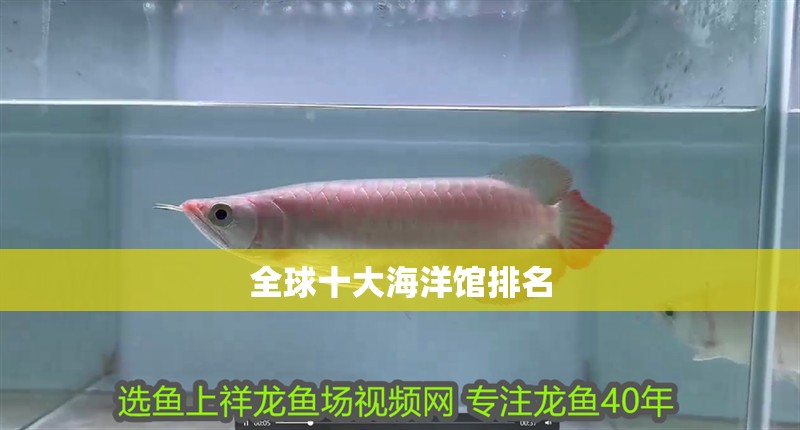 全球十大海洋館排名