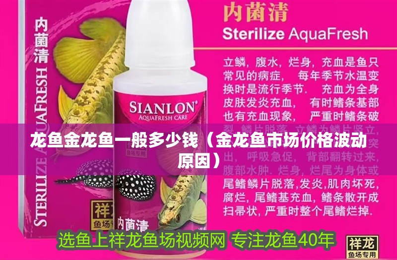 龍魚金龍魚一般多少錢（金龍魚市場價格波動原因） 龍魚金龍魚一般多少錢（金龍魚市場價格波動原因） 龍魚百科