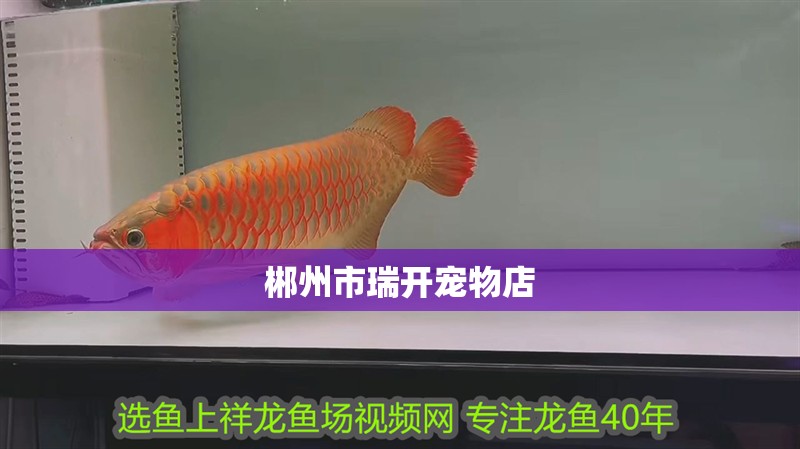 郴州市瑞開(kāi)寵物店