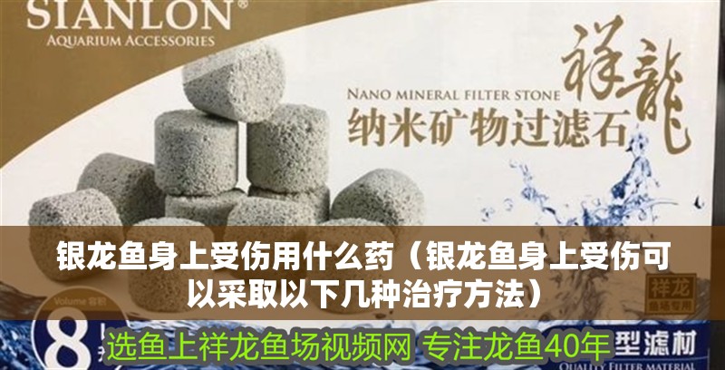 銀龍魚身上受傷用什么藥（銀龍魚身上受傷可以采取以下幾種治療方法）