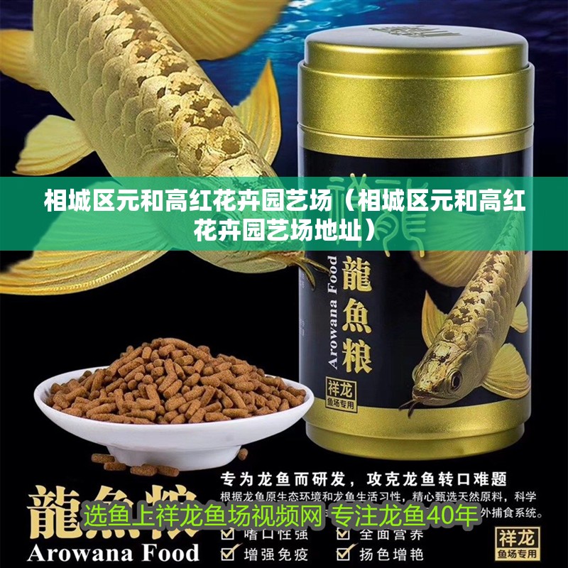 給大魚缸換水的頻率是固定的,而是需要根據多種因素來確定:給大魚缸換水的頻率不是固定的,而是需要根據多種因素來確定 相城區元和高紅花卉園藝場(相城區元和高紅花卉園藝場地址) 全國水族館企業名錄 相城區元和高紅花卉園藝場(相城區元和高紅花卉園藝場地址) 相城區元和高紅花卉園藝場(相城區元和高紅花卉園藝場地址) 全國水族館企業名錄