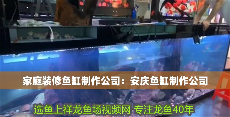家庭裝修魚缸制作公司：安慶魚缸制作公司