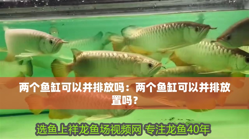 兩個魚缸可以并排放嗎：兩個魚缸可以并排放置嗎？ 兩個魚缸可以并排放嗎：兩個魚缸可以并排放置嗎？ 魚缸百科