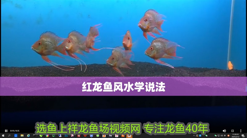 魚缸用增氧泵價(jià)格是多少:魚缸增氧機(jī)-xtrac增氧機(jī)-xtrac增氧機(jī) 紅龍魚風(fēng)水學(xué)說(shuō)法 龍魚論壇 紅龍魚風(fēng)水學(xué)說(shuō)法 紅龍魚風(fēng)水學(xué)說(shuō)法 龍魚論壇