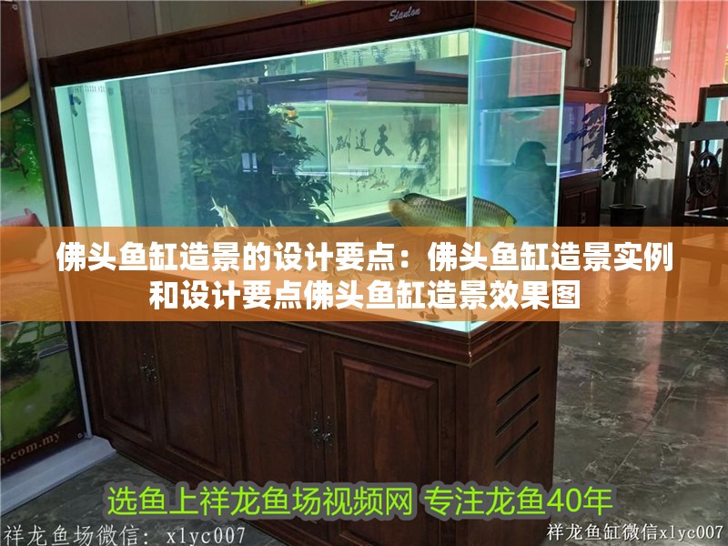 佛頭魚缸造景的設計要點：佛頭魚缸造景實例和設計要點佛頭魚缸造景效果圖