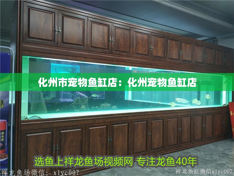 我的虎魚真菌感染了要怎么處理 化州市寵物魚缸店:化州寵物魚缸店 魚缸百科 化州市寵物魚缸店:化州寵物魚缸店 化州市寵物魚缸店:化州寵物魚缸店 魚缸百科