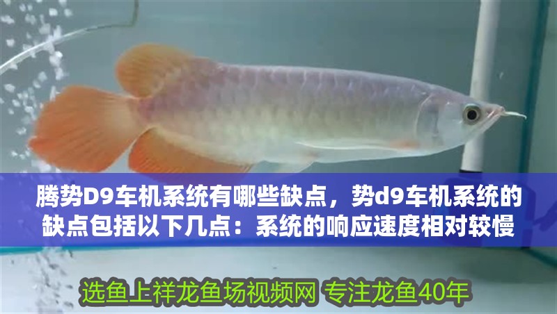 騰勢(shì)D9車(chē)機(jī)系統(tǒng)有哪些缺點(diǎn)，勢(shì)d9車(chē)機(jī)系統(tǒng)的缺點(diǎn)包括以下幾點(diǎn)：系統(tǒng)的響應(yīng)速度相對(duì)較慢 騰勢(shì)D9車(chē)機(jī)系統(tǒng)有哪些缺點(diǎn)，勢(shì)d9車(chē)機(jī)系統(tǒng)的缺點(diǎn)包括以下幾點(diǎn)：系統(tǒng)的響應(yīng)速度相對(duì)較慢 龍魚(yú)百科