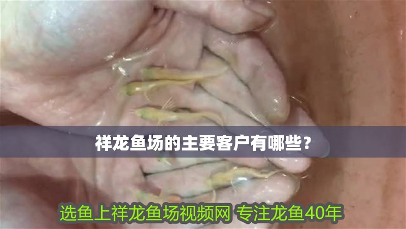 祥龍魚場的主要客戶有哪些？