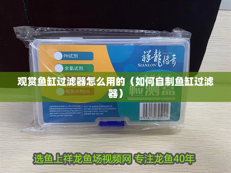 觀賞魚缸過濾器怎么用的（如何自制魚缸過濾器） 觀賞魚缸過濾器怎么用的（如何自制魚缸過濾器） 魚缸百科