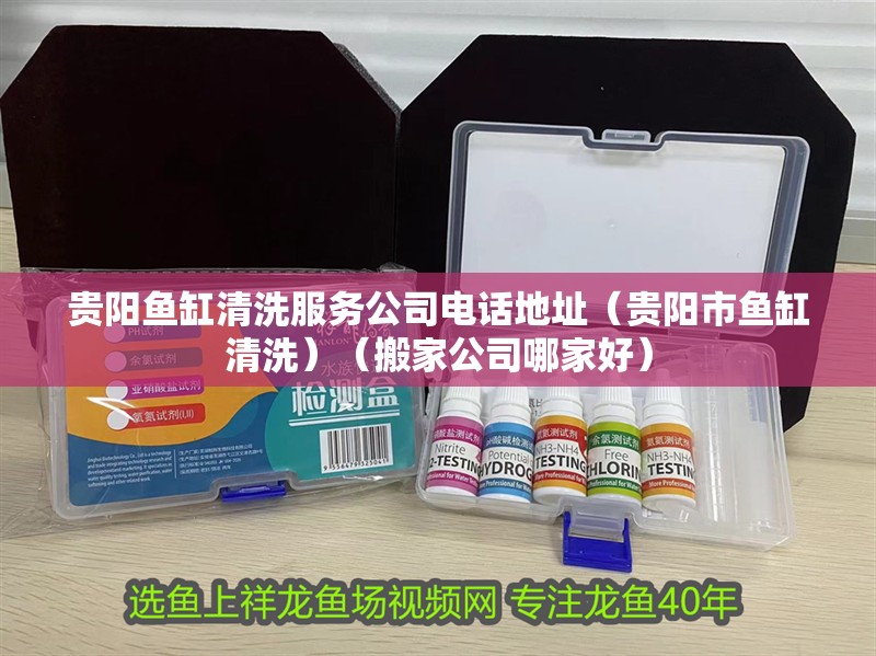 貴陽魚缸清洗服務公司電話地址（貴陽市魚缸清洗）（搬家公司哪家好）