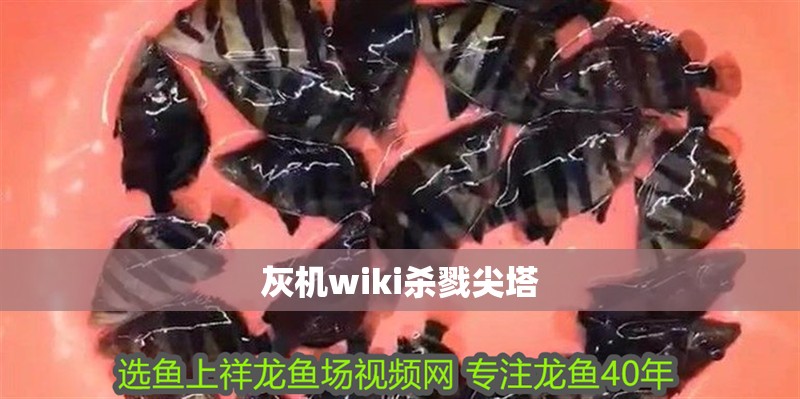灰機wiki殺戮尖塔