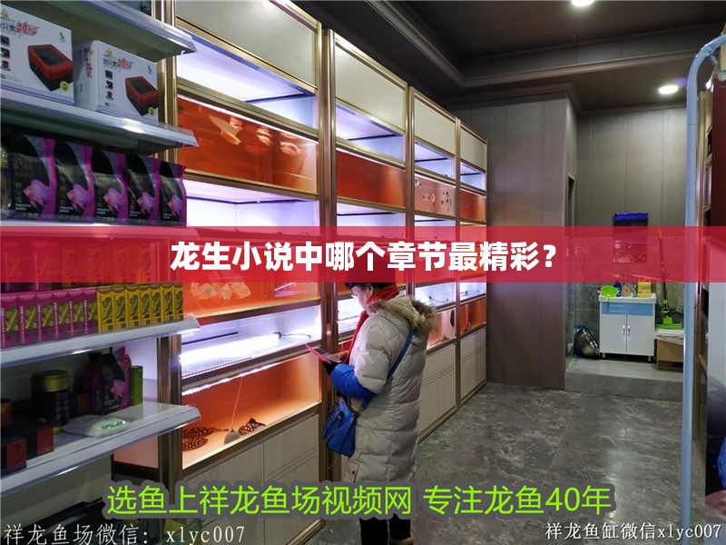 龍生小說中哪個章節(jié)最精彩？ 龍生小說中哪個章節(jié)最精彩？ 龍魚論壇