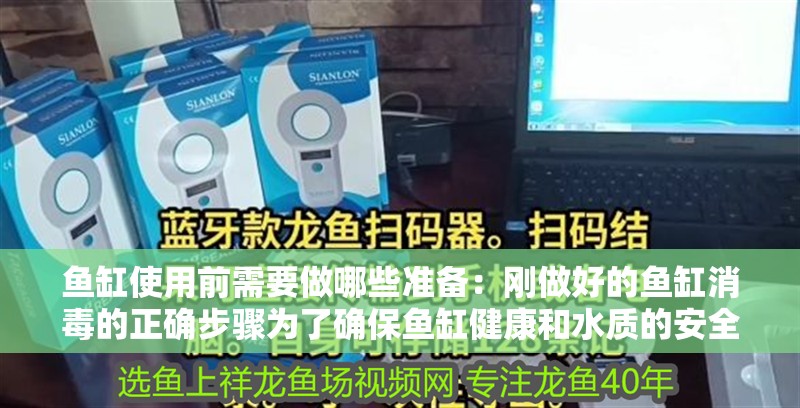 詳細(xì)閱讀:魚缸使用前需要做哪些準(zhǔn)備:剛做好的魚缸消毒的正確步驟為了確保魚缸健康和水質(zhì)的安全 魚缸使用前需要做哪些準(zhǔn)備:剛做好的魚缸消毒的正確步驟為了確保魚缸健康和水質(zhì)的安全