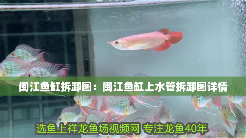 魚缸過濾器選購指南:自制魚缸過濾器魚缸上置過濾器對于養魚愛好者的必備知識 閩江魚缸拆卸圖:閩江魚缸上水管拆卸圖詳情 魚缸百科 閩江魚缸拆卸圖:閩江魚缸上水管拆卸圖詳情 閩江魚缸拆卸圖:閩江魚缸上水管拆卸圖詳情 魚缸百科