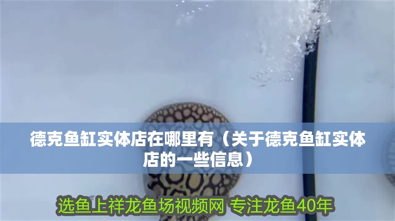 龍魚干蝦有營養嗎 德克魚缸實體店在哪里有(關于德克魚缸實體店的一些信息) 魚缸百科 德克魚缸實體店在哪里有(關于德克魚缸實體店的一些信息) 德克魚缸實體店在哪里有(關于德克魚缸實體店的一些信息) 魚缸百科