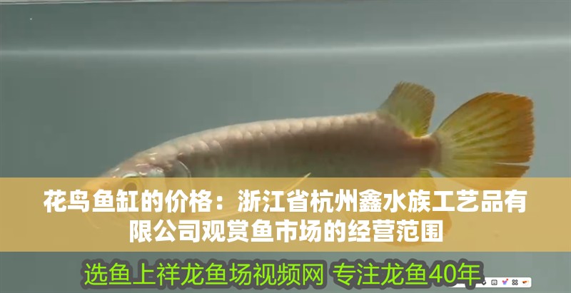 花鳥魚缸的價格：<strong><mark>浙江</mark></strong>省杭州鑫水族工藝品有限公司觀賞魚市場的經(jīng)營范圍