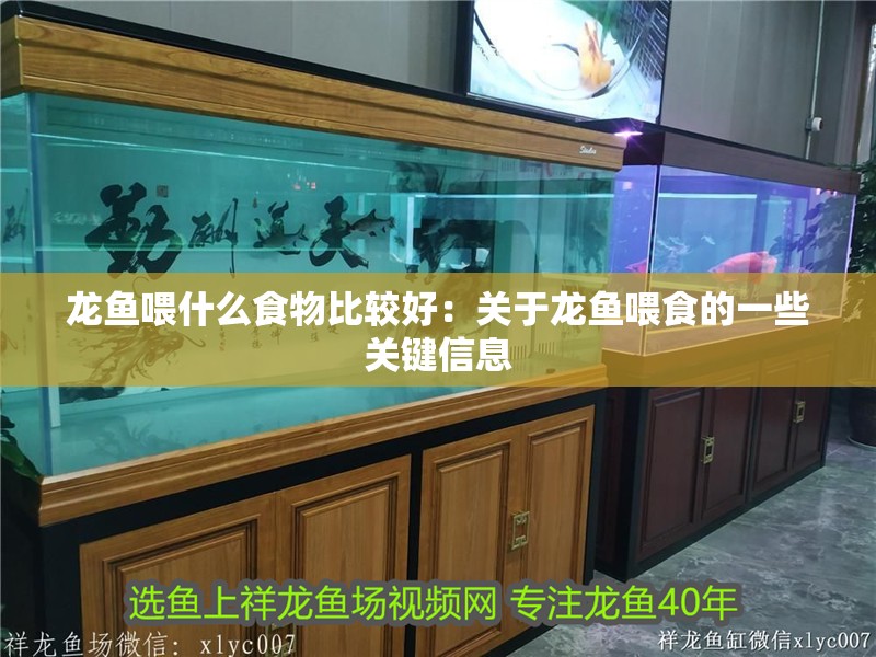 龍魚喂什么食物比較好：關于龍魚喂食的一些關鍵信息