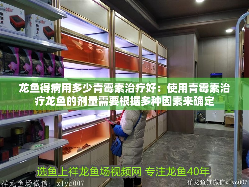 龍魚得病用多少青霉素治療好：使用青霉素治療龍魚的劑量需要根據多種因素來確定