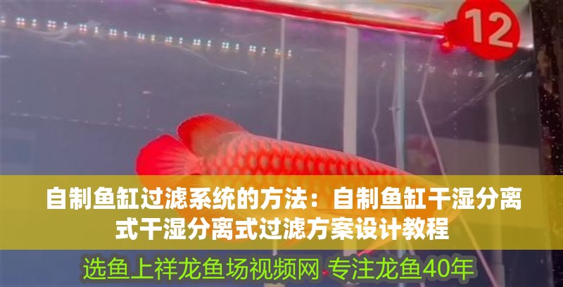 自制魚缸過濾系統的方法：自制魚缸干濕分離式干濕分離式過濾方案設計教程 自制魚缸過濾系統的方法：自制魚缸干濕分離式干濕分離式過濾方案設計教程 魚缸百科
